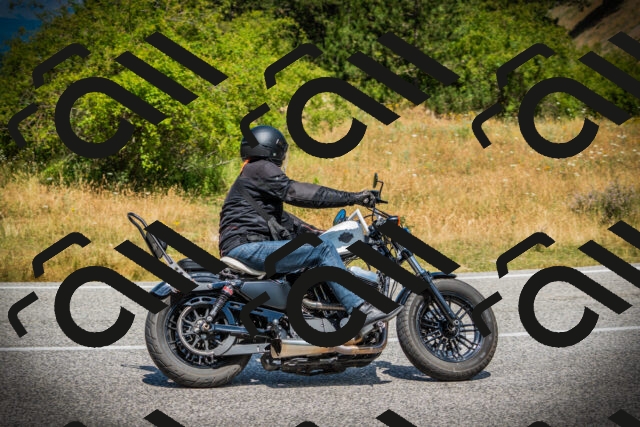 202507121209-DSC00742_c1_