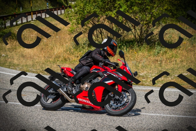 202507121210-DSC00769_c1_