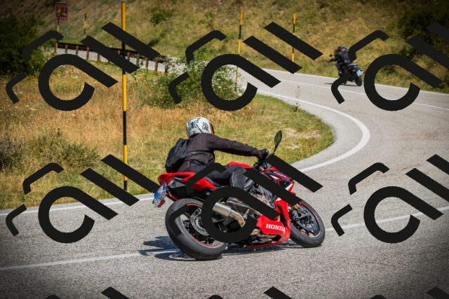 202507121210-DSC00771_c1_