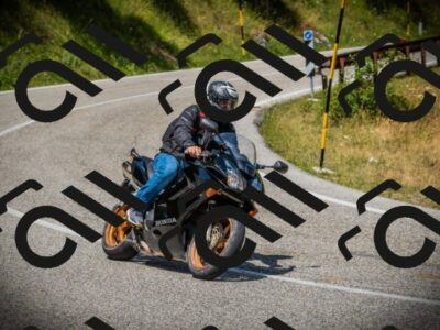 202507121210-DSC00780_c1_