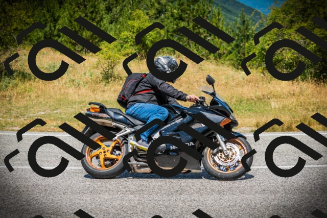 202507121210-DSC00781_c1_