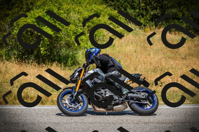 202507121213-DSC00821_c1_