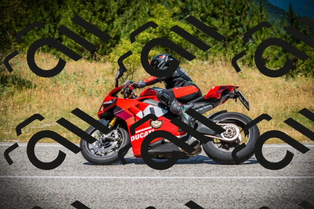 202507121220-DSC00877_c1_