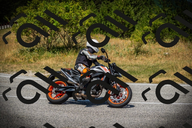 202507121222-DSC00906_c1_