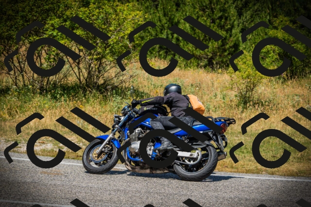 202507121226-DSC00928_c1_