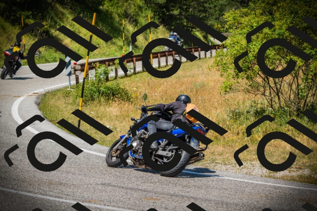 202507121226-DSC00929_c1_