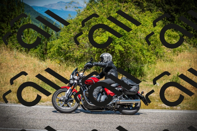 202507121226-DSC00932_c1_