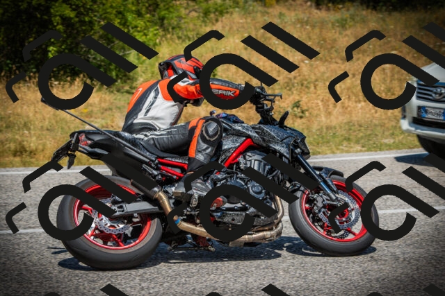 202507121228-DSC00964_c1_