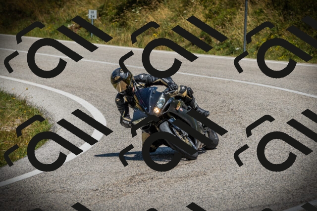 202507121228-DSC00988_c1_