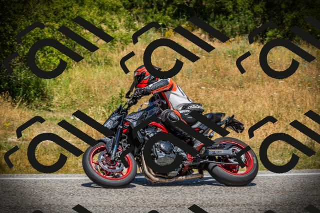 202507121229-DSC00994_c1_