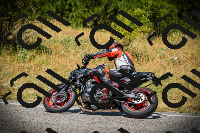 202507121229-DSC00995_c1_