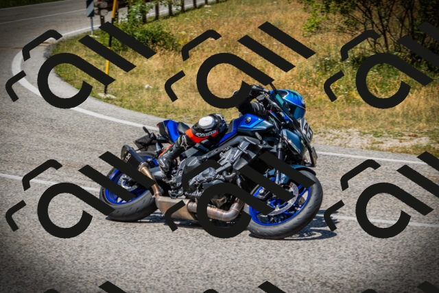 202507121229-DSC00999_c1_