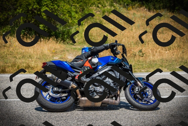 202507121229-DSC01000_c1_