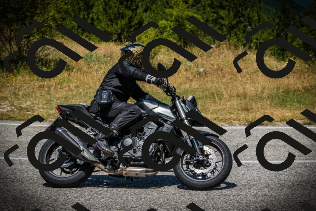 202507121229-DSC01011_c1_