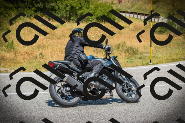 202507121229-DSC01012_c1_