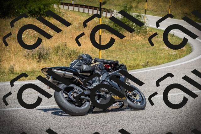 202507121229-DSC01018_c1_