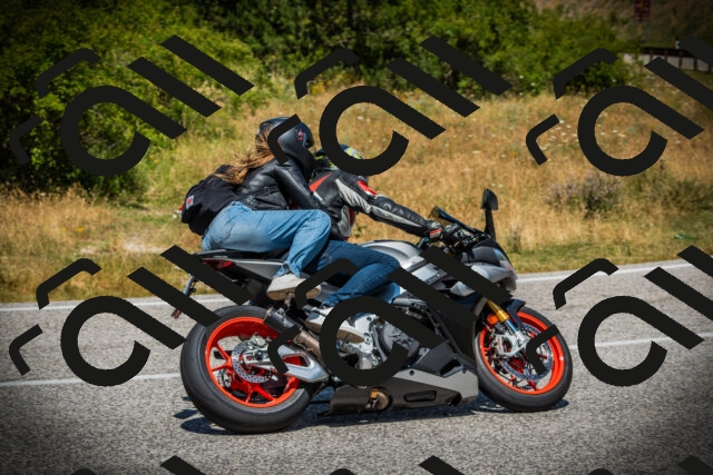 202507121229-DSC01019_c1_