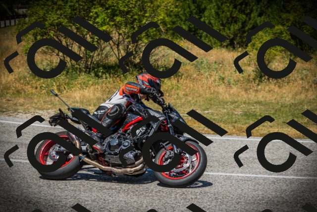 202507121229-DSC01023_c1_