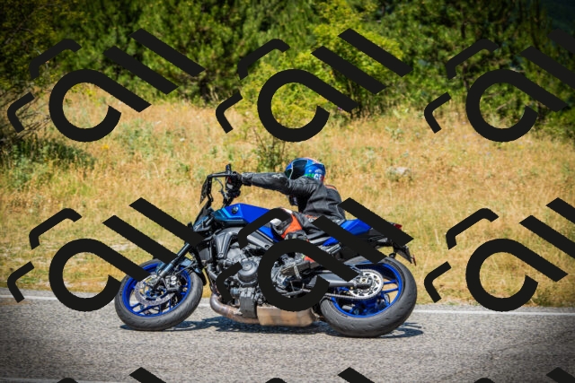 202507121229-DSC01028_c1_