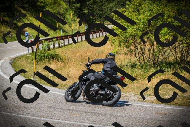 202507121230-DSC01035_c1_