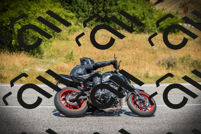 202507121230-DSC01039_c1_