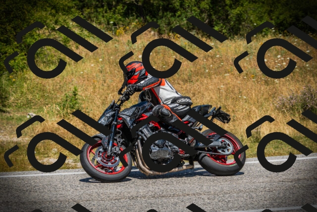 202507121230-DSC01045_c1_