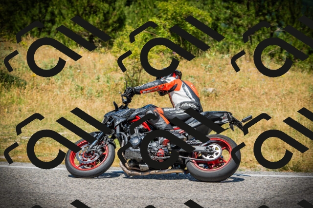 202507121230-DSC01046_c1_