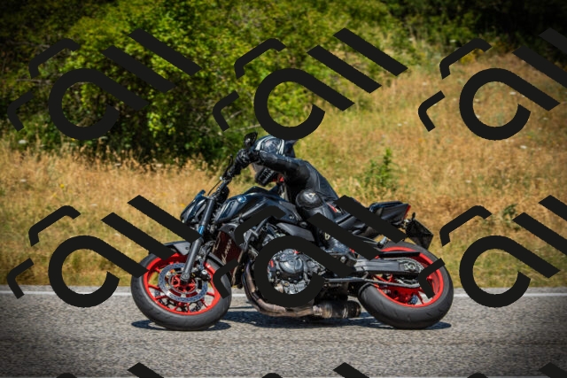 202507121231-DSC01058_c1_