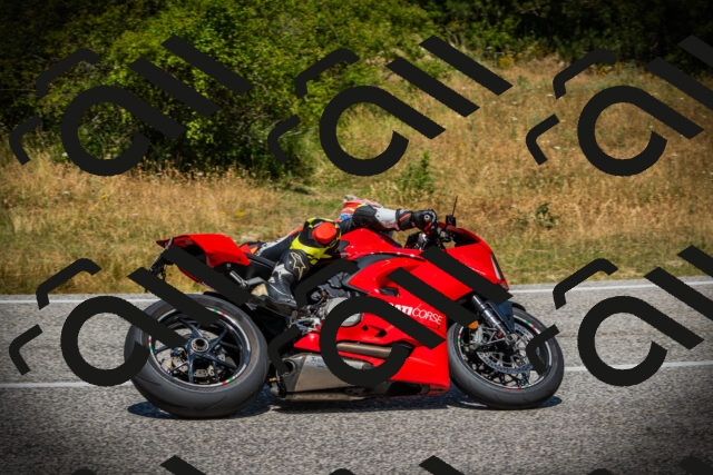 202507121231-DSC01065_c1_