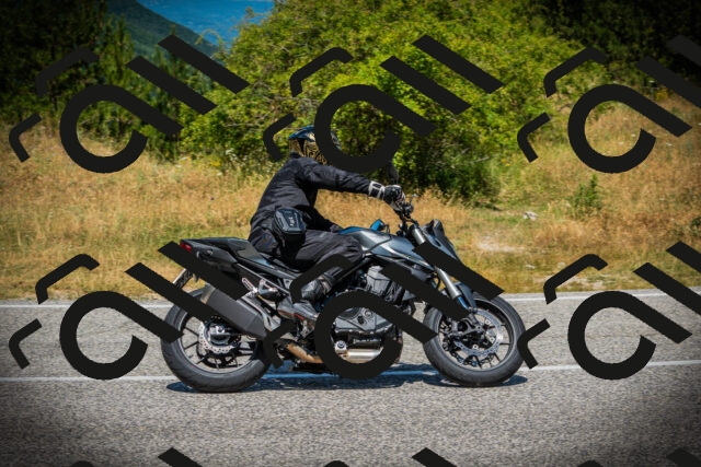 202507121231-DSC01078_c1_