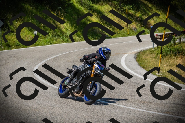 202507121232-DSC01081_c1_