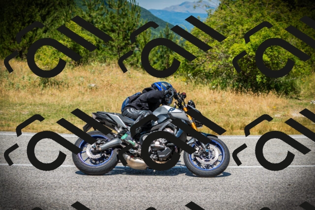 202507121232-DSC01082_c1_