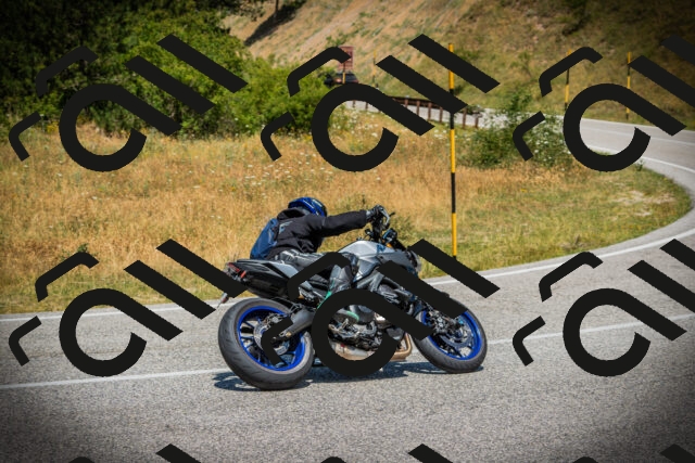 202507121232-DSC01083_c1_