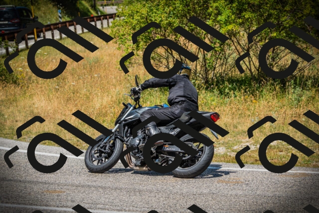 202507121233-DSC01106_c1_