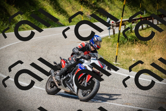 202507121237-DSC01156_c1_