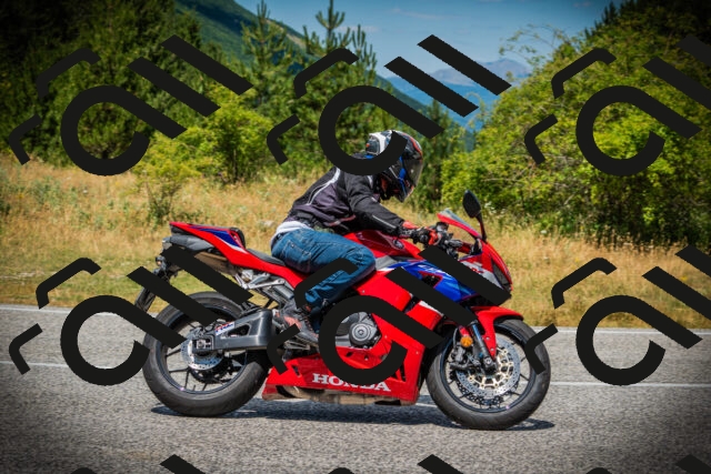 202507121239-DSC01201_c1_