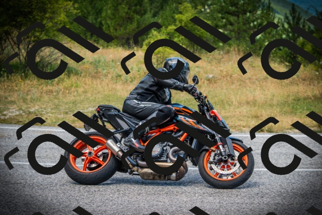 202507121246-DSC01268_c1_