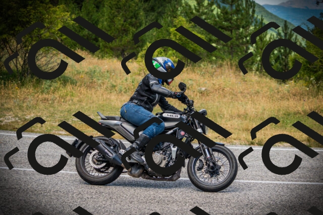 202507121246-DSC01274_c1_