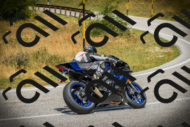 202507121248-DSC01318_c1_