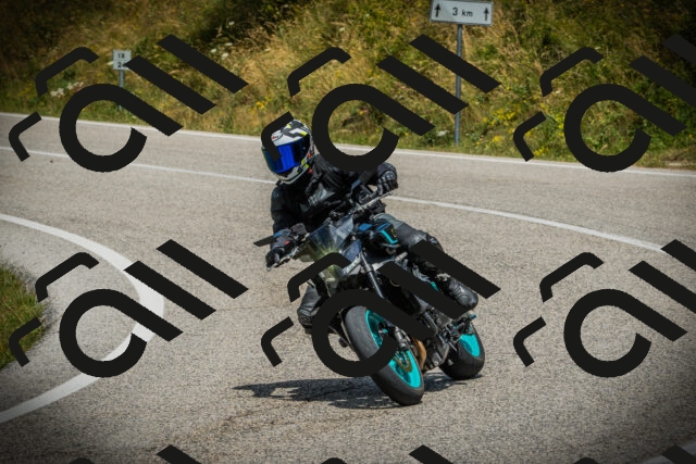 202507121248-DSC01319_c1_