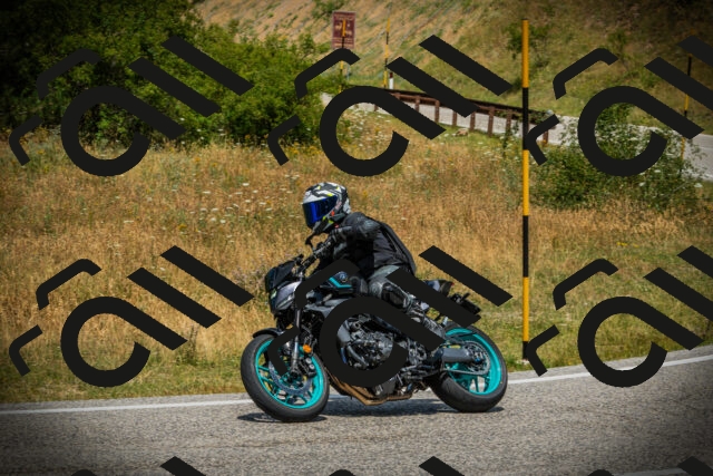 202507121248-DSC01320_c1_