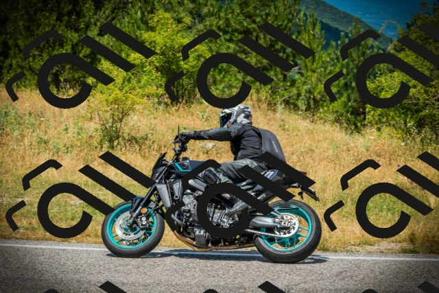 202507121248-DSC01321_c1_