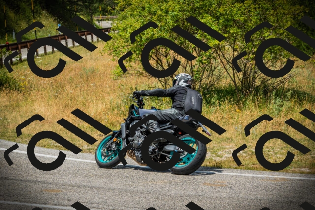 202507121248-DSC01322_c1_