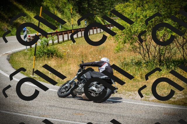 202507121249-DSC01353_c1_