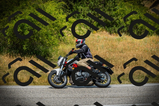 202507121253-DSC01410_c1_