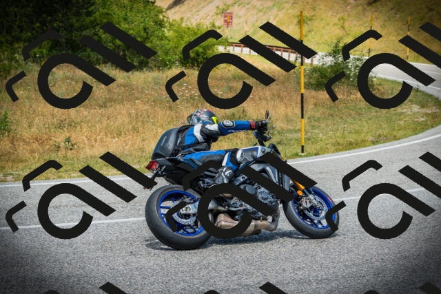 202507121253-DSC01416_c1_