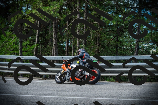 202507131006-DSC01471_c1_