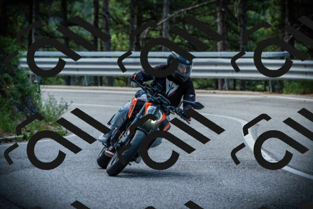 202507131008-DSC01481_c1_