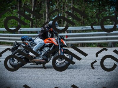 202507131008-DSC01482_c1_