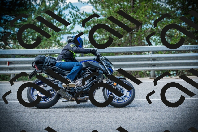 202507131008-DSC01487_c1_